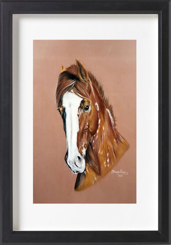 Pastel painting on Paper equines realism "Horse Aida '' .