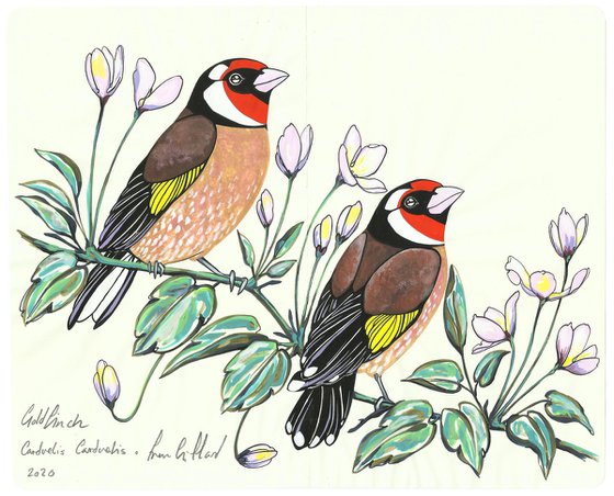 Goldfinch and Clematis