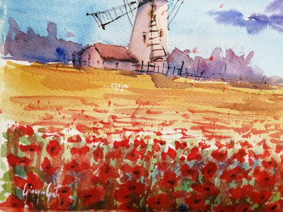 poppies field 4