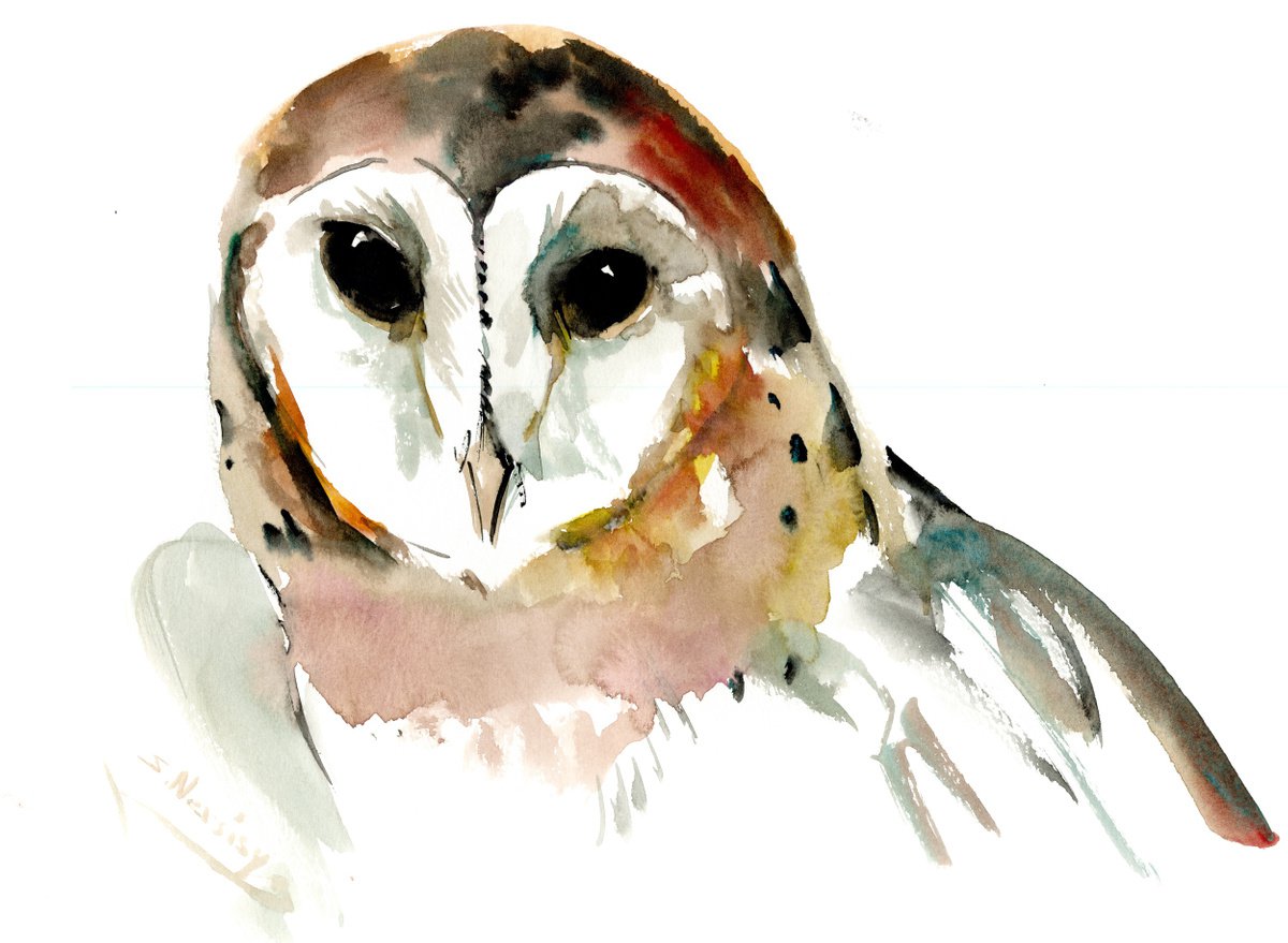 Barn Owl by Suren Nersisyan