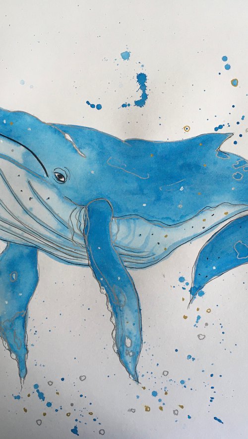 Whale by Ruth Searle