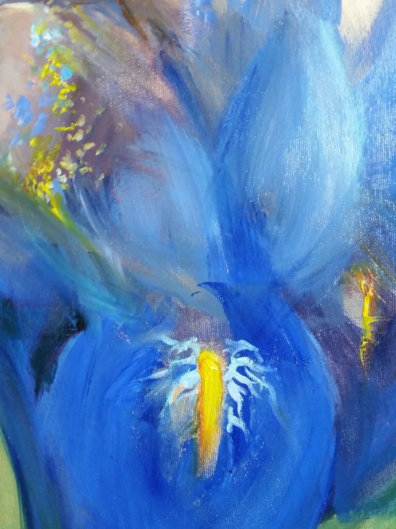 blue Iris