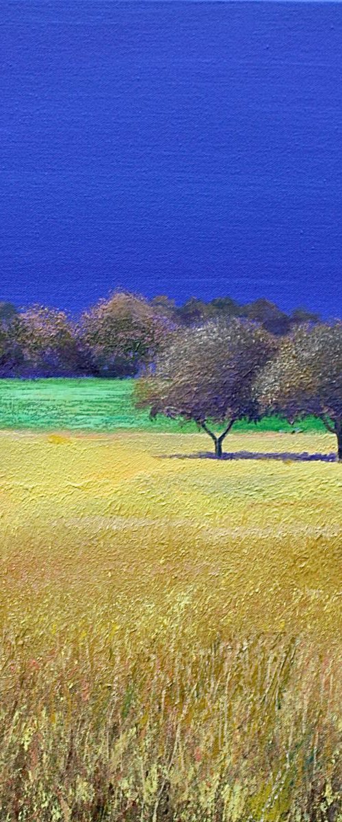 2 Trees Noon by Simon Jones
