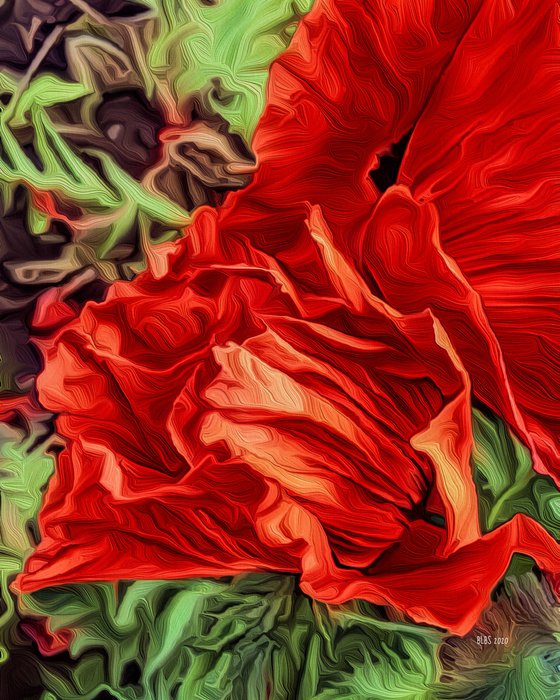 Poppy, after O'Keeffe
