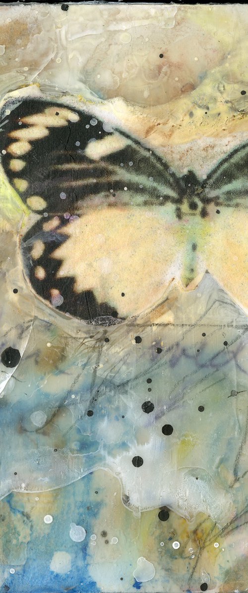 Butterfly Prayers 2 by Kathy Morton Stanion
