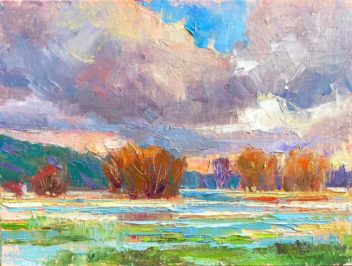 Clouds and Marsh by Emiliya Lane