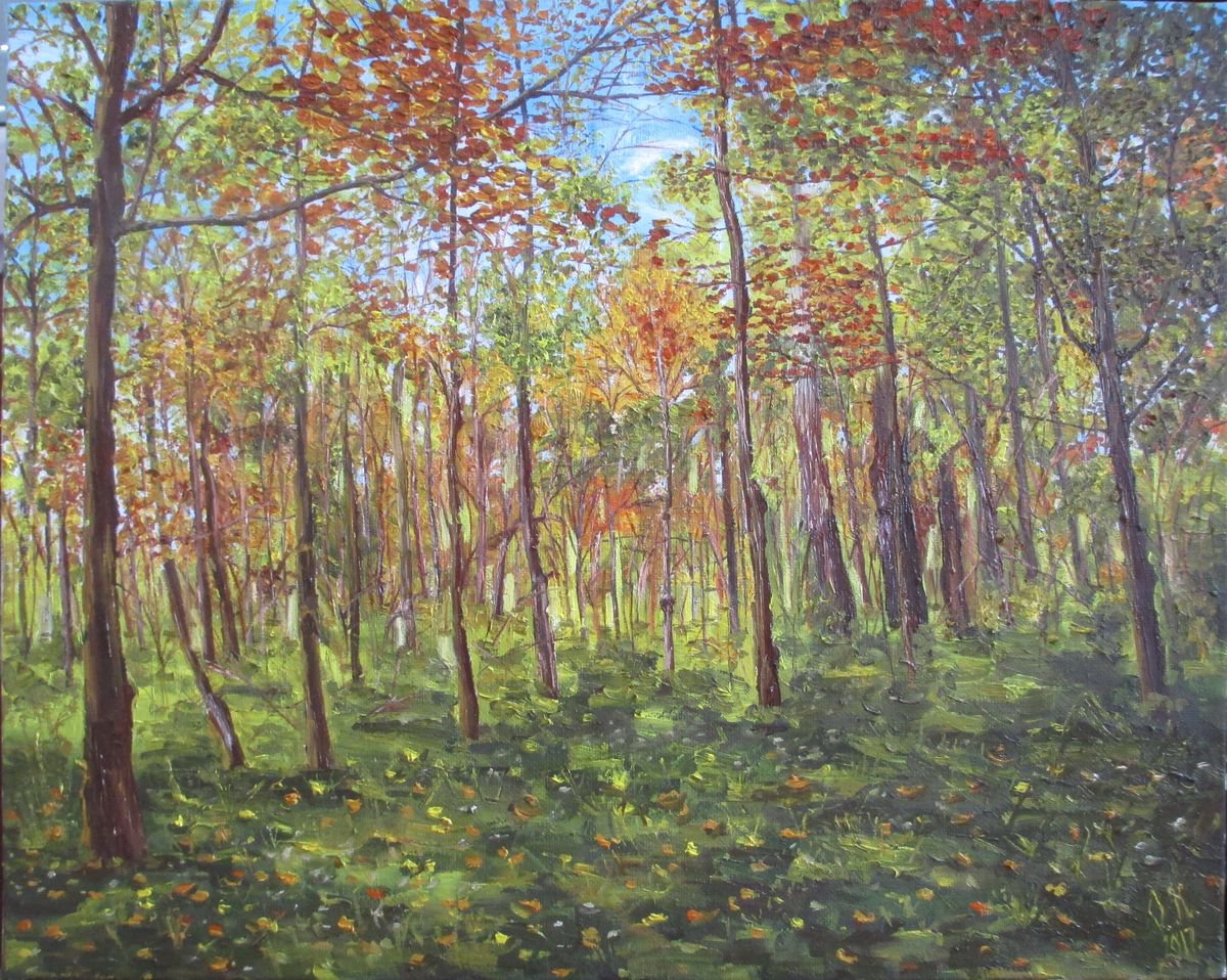 Impressionistic Landscape Oil Painting By Olga Knezevic, 20 X 16", Green Autumn, Original Artwork