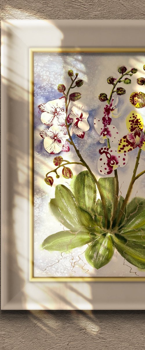 White Pink Bordo Orchid by Yuliia Sharapova