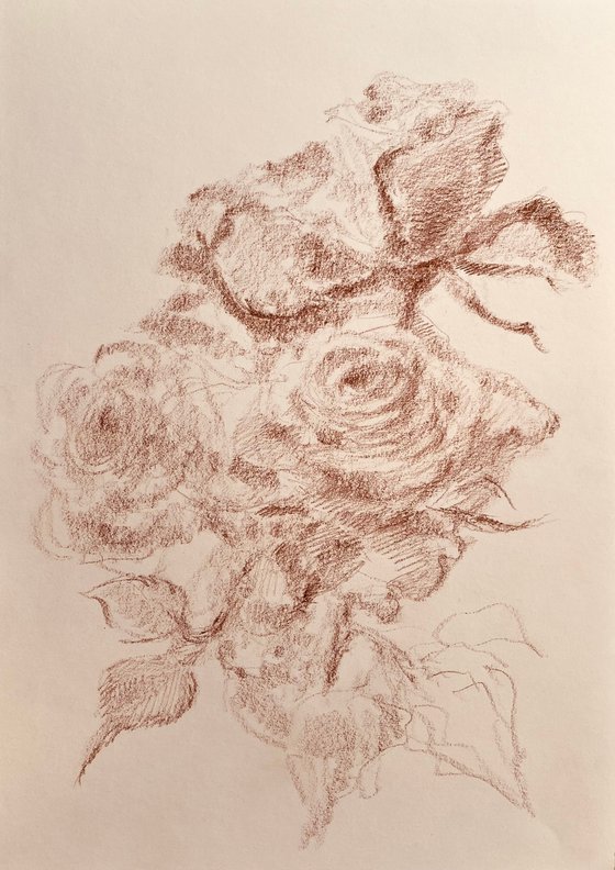 Roses #11. Original pencil drawing