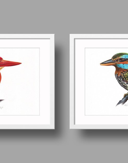 Birds Collection III by Daria Maier