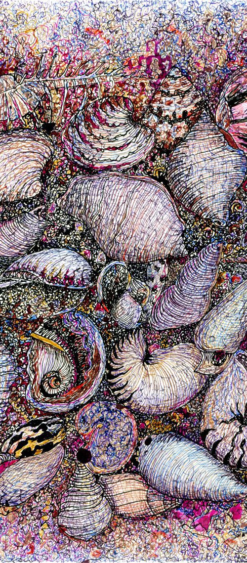 SEA SHELLS by Nives Palmić