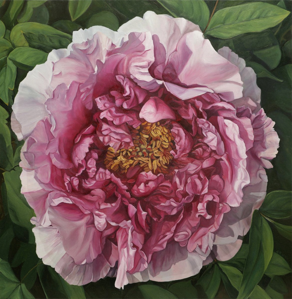 Photorealistic Oil Painting , Peony Flower By Zhao Hui Yang, 31 X 31, Artwork For Sale On Artfinder
