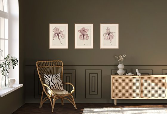 3 Irises