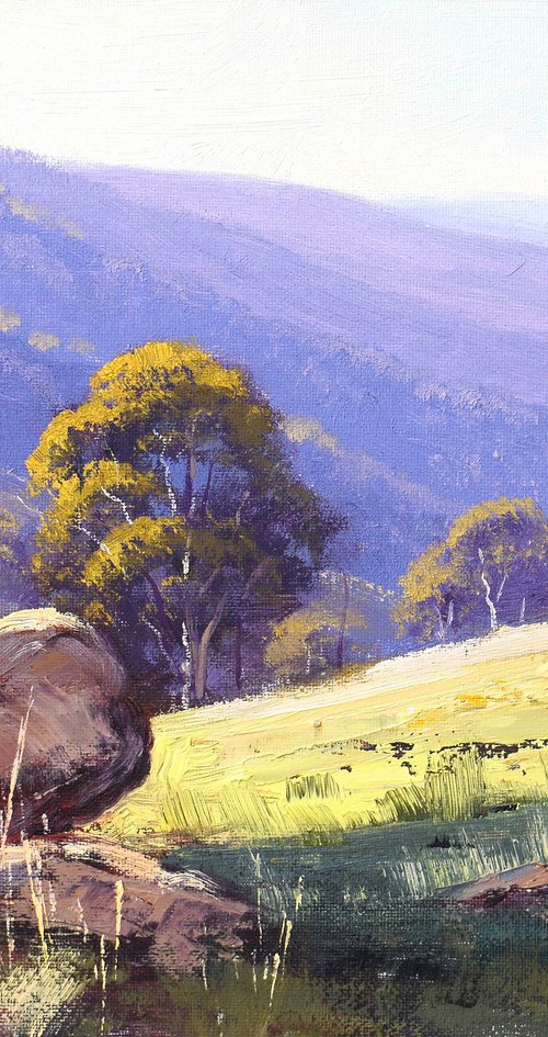 Summer Australian Landscape by Graham Gercken