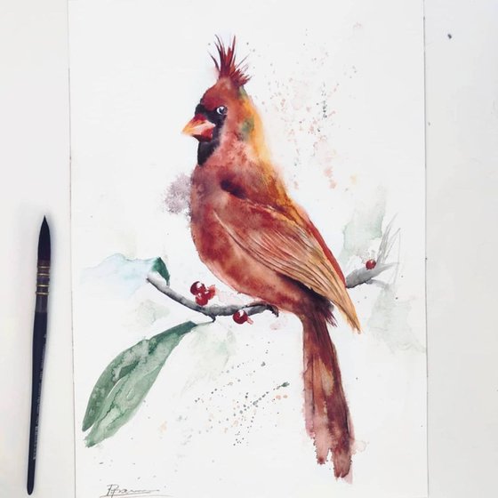 Cardinal on a branch