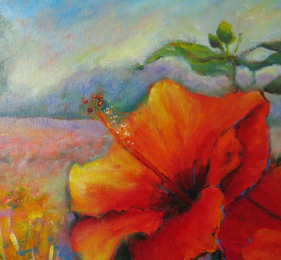 Hibiscus Flowers in a landscape