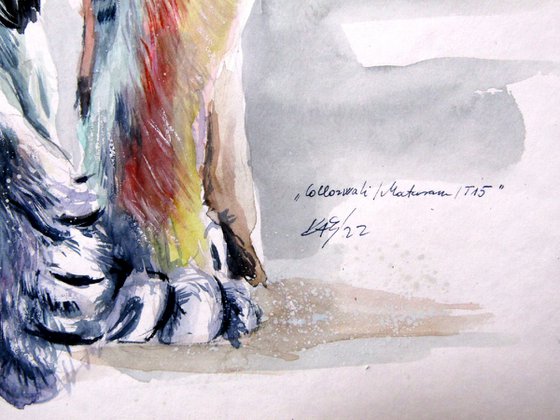 Collarwali Mataram tiger