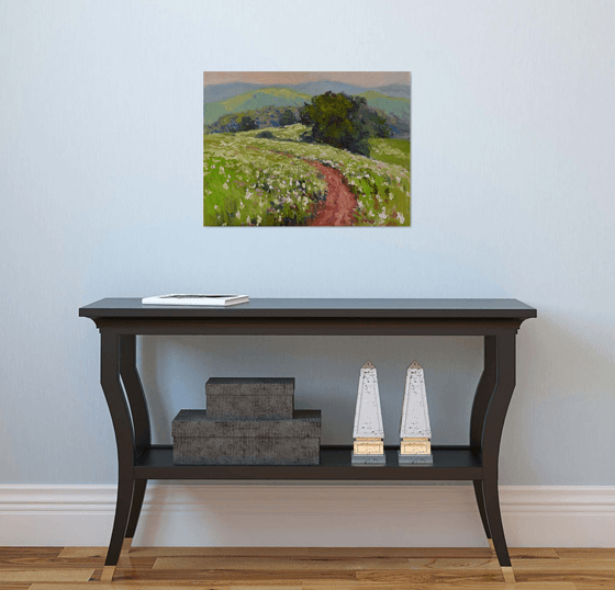 Meadow in the Summer