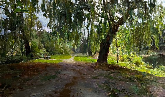 Park with willows