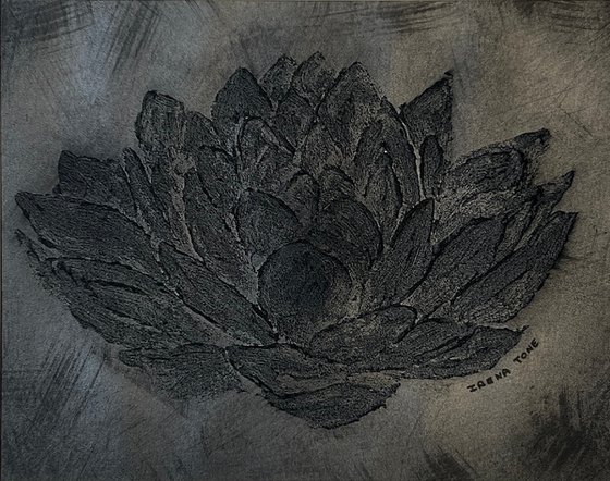 Black water lily