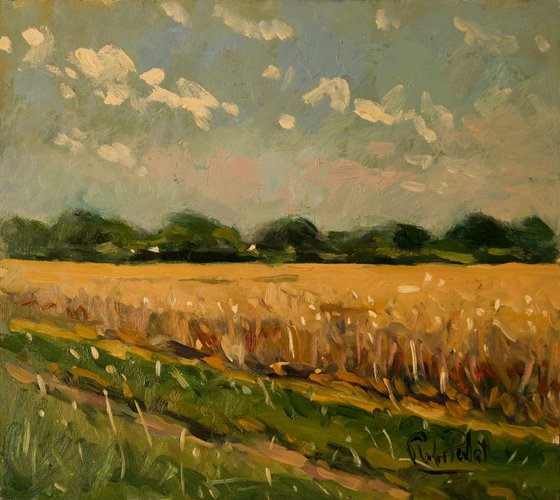 Golden Field