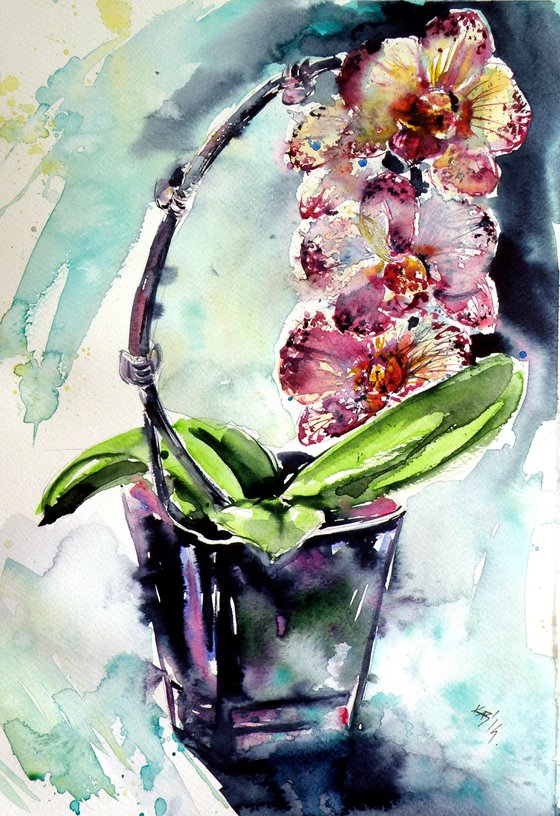 Orchid still life