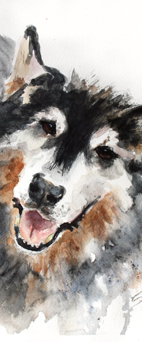 Dog... - Pet portrait /  ORIGINAL PAINTING by Salana Art Gallery