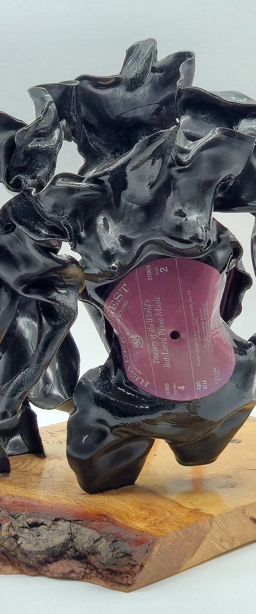 Pallisades by Seona Mason