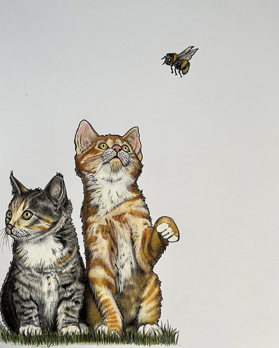 Illustrative Pencil Drawing , Two Kittens By Karen Elaine Evans, 10 X 12, Artwork For Sale On Artfinder