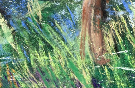 Sea of Bluebells