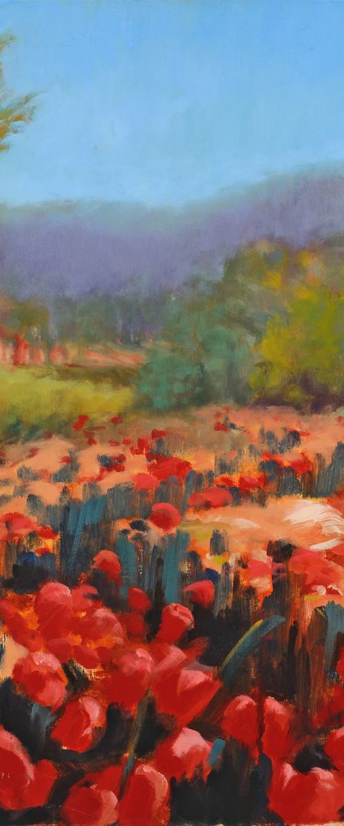 DANCE OF THE POPPIES by Shanee Uberman