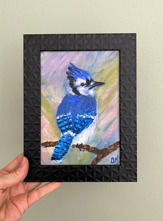 Blue jay