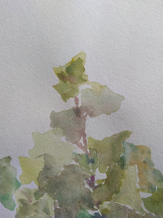 Garden ivy. Original watercolour painting. 2020