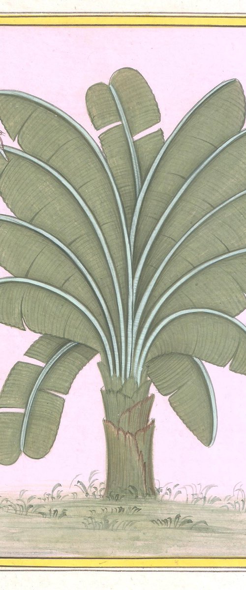 Royal Banana Plant | Miniature Painting by Mukesh Swami