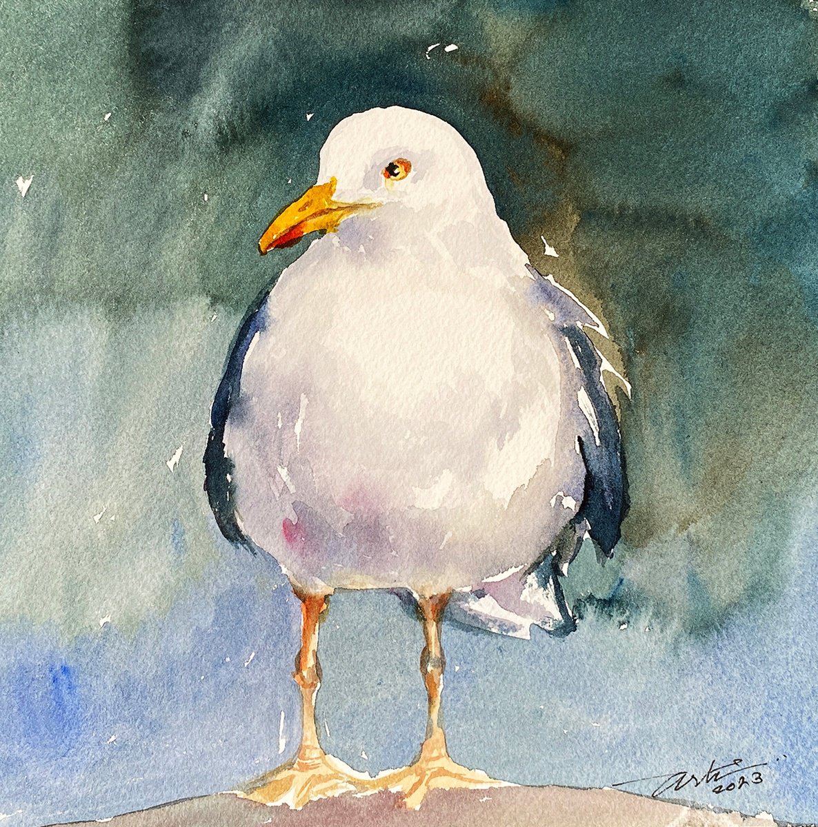 Herring Gull Henry by Arti Chauhan
