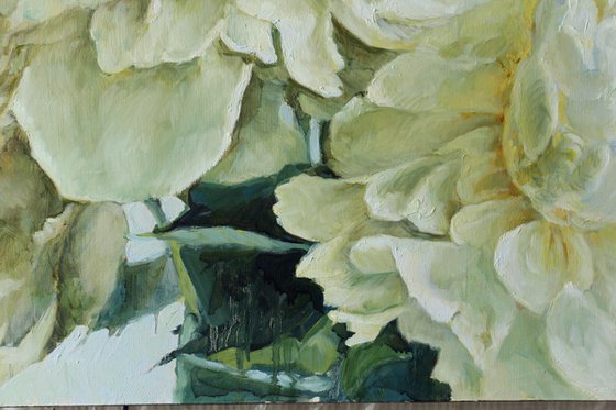 Three white peonies 90x80