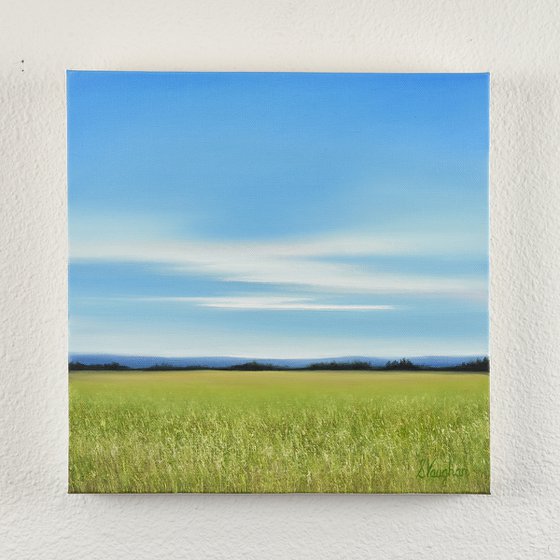 Countryside View - Blue Sky Landscape