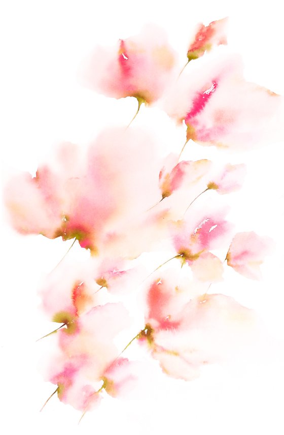 Delicate beautiful flowers, watercolor floral art Spring