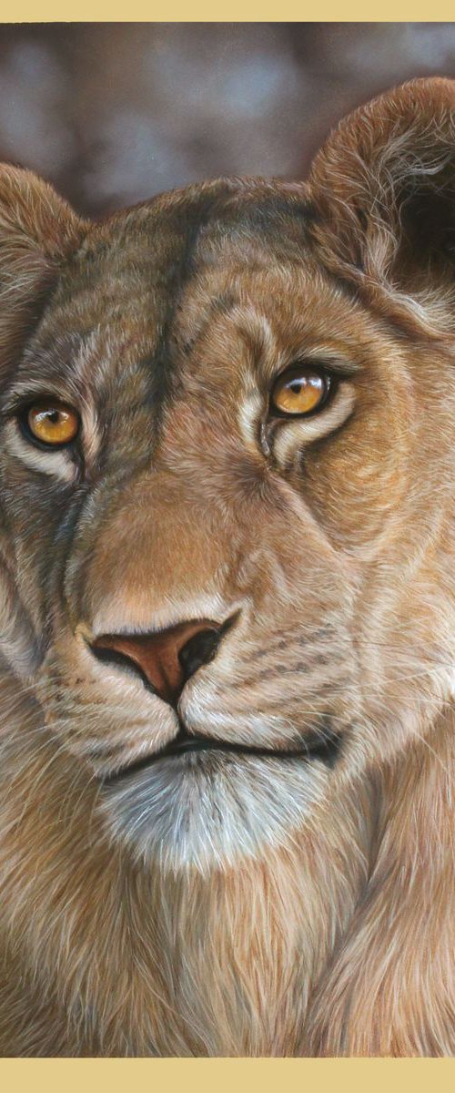 Lioness in Pastel by Tatjana Bril