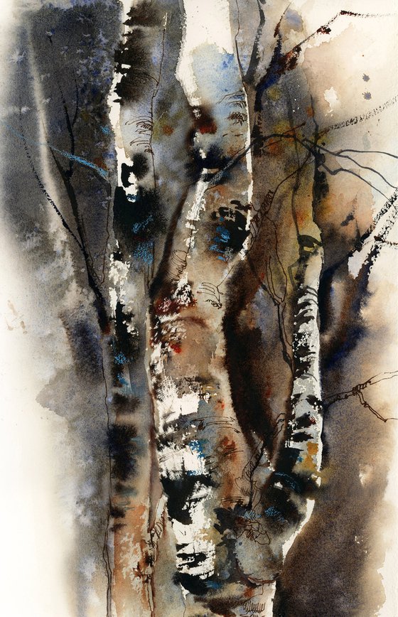 Birch Trees