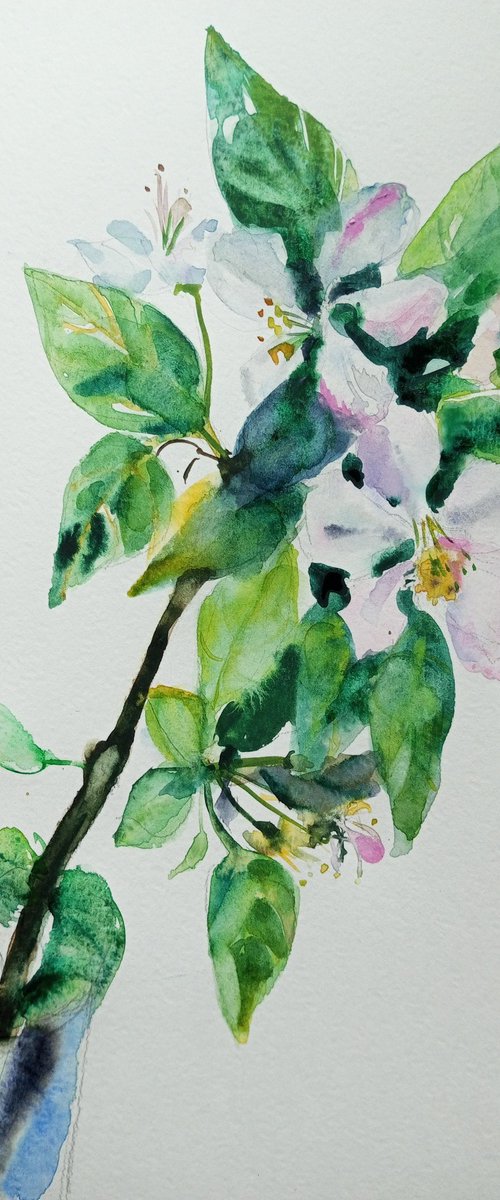 Apple-tree branch by Oxana Raduga