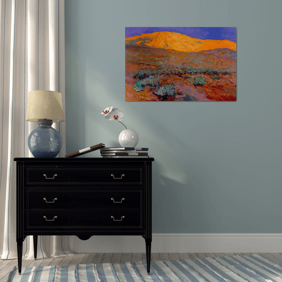 Sunset in the Desert. Arizona