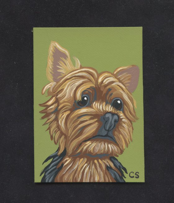 ACEO ATC Original Miniature Painting Yorkie Yorkshire Terrier Pet Dog Art-Carla Smale