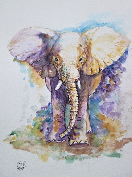 Elephant