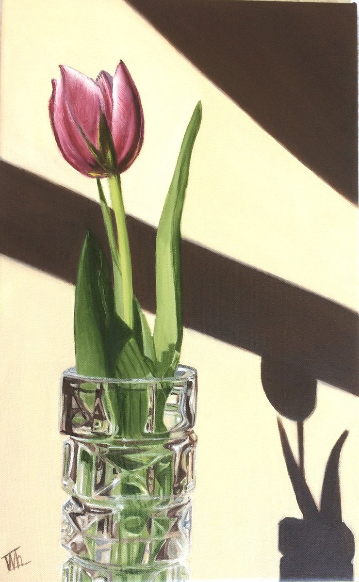 Photorealistic Oil Painting , Tulip And Light By Ira Whittaker, 12 X 19, Artwork For Sale On Artfinder