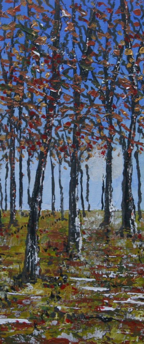 Winter Beechwood by Paul J Best