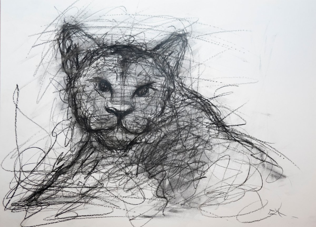 Lionceau, EXPRESSIVE INK drawing by Lionel Le Jeune