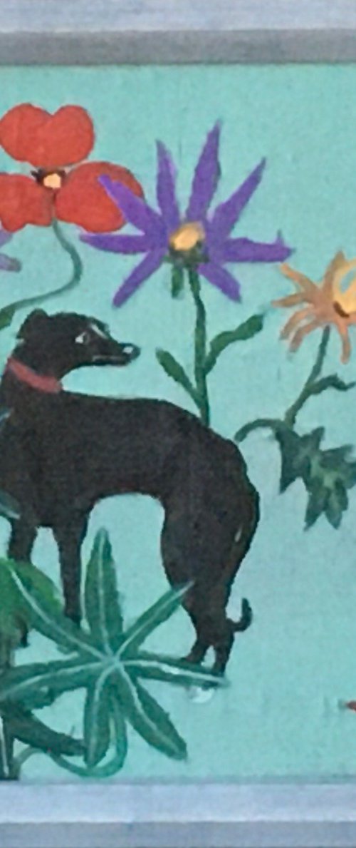 Black whippet by Chihiro Kinjo