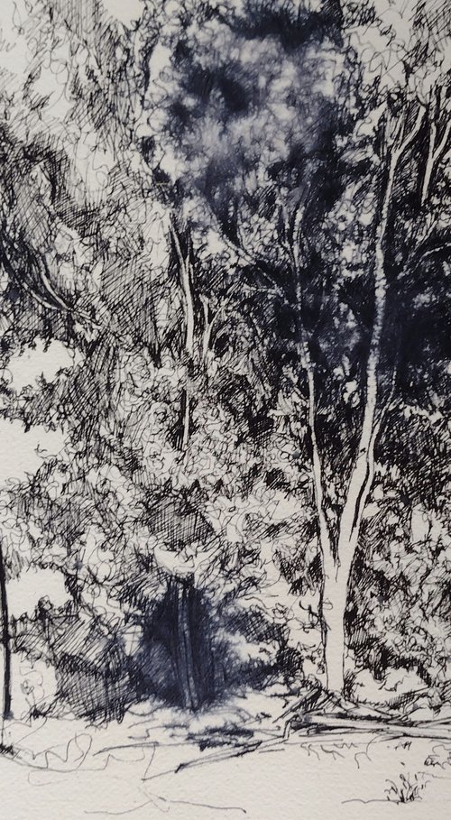 The sheltering trees by Marina Del Pozo