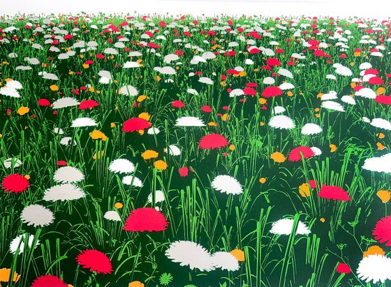 Meadow